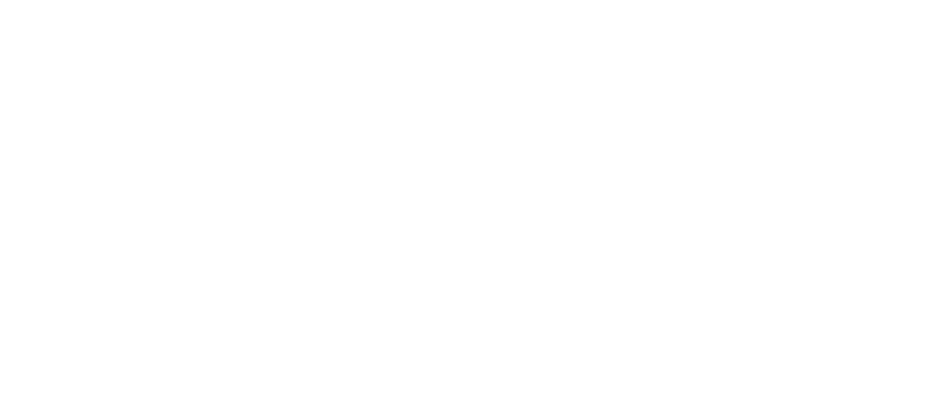 Link9i
